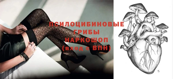 сатива Армянск