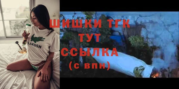 сатива Армянск