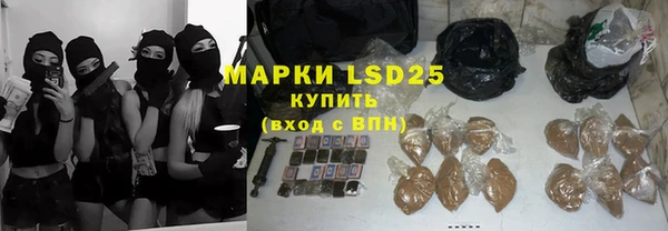 сатива Армянск