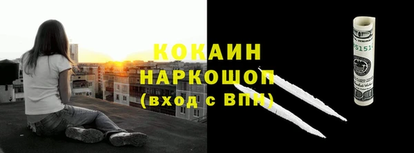 сатива Армянск