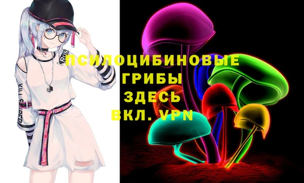 сатива Армянск