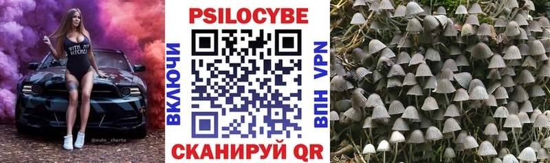 Галлюциногенные грибы Cubensis  Хвалынск 
